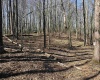 TBD Old Elkins Road, Buckhannon, West Virginia 26201, ,Lots/land,For Sale,Old Elkins,10164687