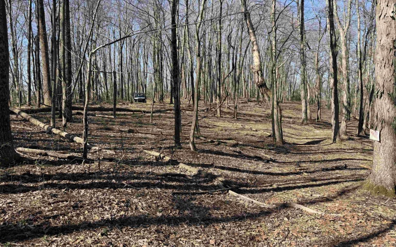 TBD Old Elkins Road, Buckhannon, West Virginia 26201, ,Lots/land,For Sale,Old Elkins,10164687