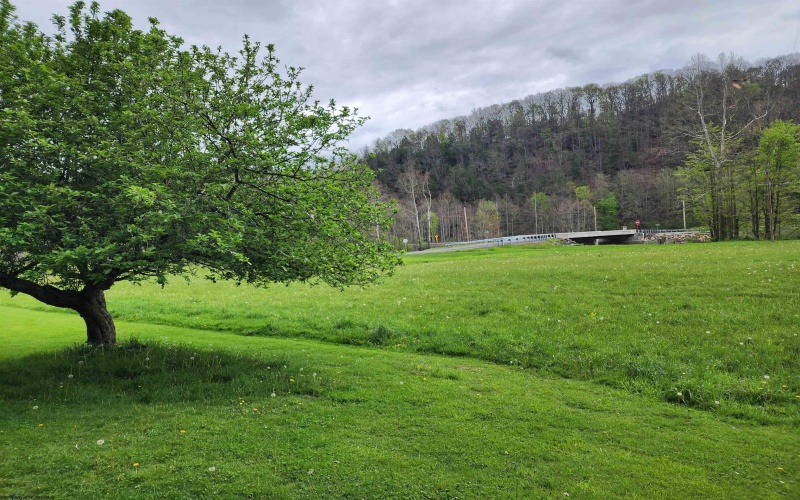 89 Snyder Road, Harman, West Virginia 26270, 4 Bedrooms Bedrooms, 6 Rooms Rooms,2 BathroomsBathrooms,Single Family Detached,For Sale,Snyder,10164678