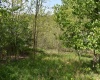 Lot 54 Sanctuary Cove, Morgantown, West Virginia 26508, ,Lots/land,For Sale,Sanctuary,10164689