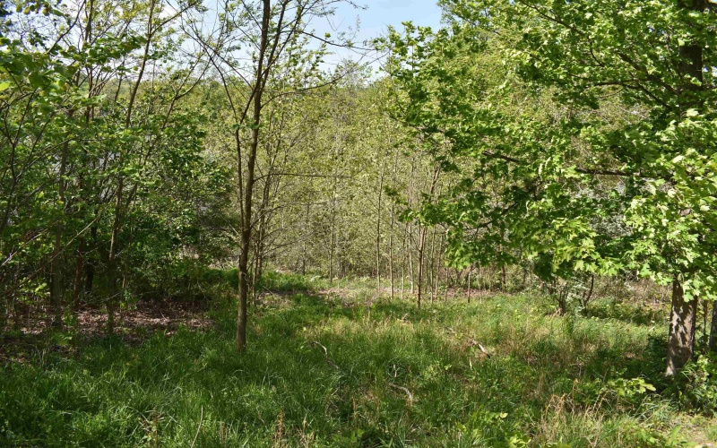 Lot 54 Sanctuary Cove, Morgantown, West Virginia 26508, ,Lots/land,For Sale,Sanctuary,10164689