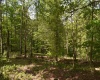 Lot 54 Sanctuary Cove, Morgantown, West Virginia 26508, ,Lots/land,For Sale,Sanctuary,10164689
