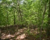 Lot 54 Sanctuary Cove, Morgantown, West Virginia 26508, ,Lots/land,For Sale,Sanctuary,10164689
