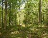 Lot 54 Sanctuary Cove, Morgantown, West Virginia 26508, ,Lots/land,For Sale,Sanctuary,10164689