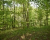 Lot 54 Sanctuary Cove, Morgantown, West Virginia 26508, ,Lots/land,For Sale,Sanctuary,10164689