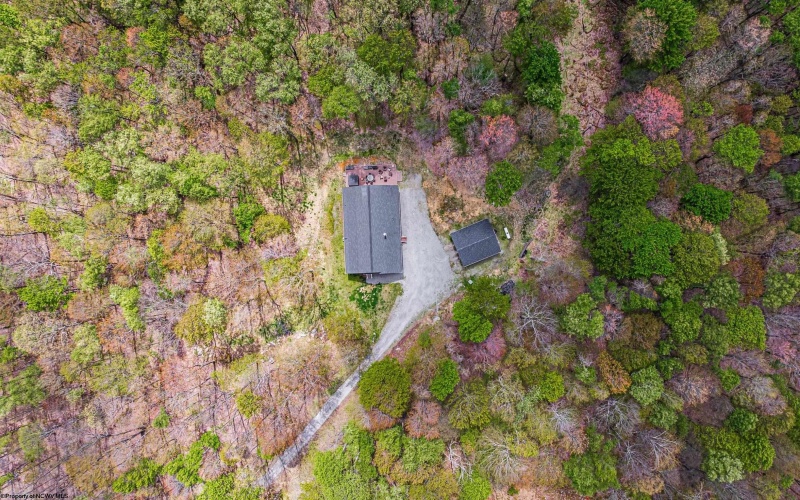 781 Branch Hollow, Bruceton Mills, West Virginia 26525, 3 Bedrooms Bedrooms, 5 Rooms Rooms,2 BathroomsBathrooms,Single Family Detached,For Sale,Branch,10164700