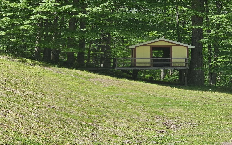 3923 Bear Mountain Road, Bridgeport, West Virginia 26330, 4 Bedrooms Bedrooms, 7 Rooms Rooms,2 BathroomsBathrooms,Single Family Detached,For Sale,Bear Mountain,10164731
