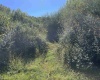 TBA Maple Street, Jane Lew, West Virginia 26378, ,Lots/land,For Sale,Maple,10162365 TBA Maple Street, Jane Lew, West Virginia 26378, ,Lots/land,For Sale,Maple,10162365