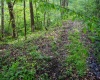 Lot 1 Manion Road, Folsom, West Virginia 26348, ,Lots/land,For Sale,Manion,10164721