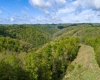 Lot 1 Manion Road, Folsom, West Virginia 26348, ,Lots/land,For Sale,Manion,10164721
