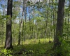 Lot 1 Manion Road, Folsom, West Virginia 26348, ,Lots/land,For Sale,Manion,10164721