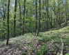 Lot 1 Manion Road, Folsom, West Virginia 26348, ,Lots/land,For Sale,Manion,10164721