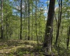 Lot 1 Manion Road, Folsom, West Virginia 26348, ,Lots/land,For Sale,Manion,10164721