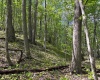 Lot 1 Manion Road, Folsom, West Virginia 26348, ,Lots/land,For Sale,Manion,10164721