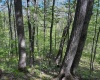 Lot 1 Manion Road, Folsom, West Virginia 26348, ,Lots/land,For Sale,Manion,10164721