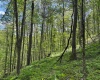 Lot 1 Manion Road, Folsom, West Virginia 26348, ,Lots/land,For Sale,Manion,10164721