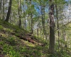 Lot 1 Manion Road, Folsom, West Virginia 26348, ,Lots/land,For Sale,Manion,10164721