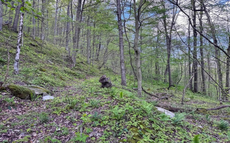 Lot 1 Manion Road, Folsom, West Virginia 26348, ,Lots/land,For Sale,Manion,10164721
