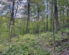 Lot 1 Manion Road, Folsom, West Virginia 26348, ,Lots/land,For Sale,Manion,10164721