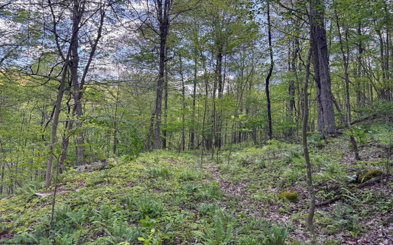 Lot 1 Manion Road, Folsom, West Virginia 26348, ,Lots/land,For Sale,Manion,10164721