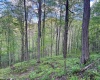 Lot 1 Manion Road, Folsom, West Virginia 26348, ,Lots/land,For Sale,Manion,10164721