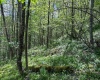 Lot 1 Manion Road, Folsom, West Virginia 26348, ,Lots/land,For Sale,Manion,10164721