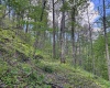 Lot 1 Manion Road, Folsom, West Virginia 26348, ,Lots/land,For Sale,Manion,10164721