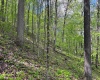 Lot 1 Manion Road, Folsom, West Virginia 26348, ,Lots/land,For Sale,Manion,10164721