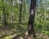 Lot 1 Manion Road, Folsom, West Virginia 26348, ,Lots/land,For Sale,Manion,10164721