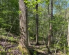 Lot 1 Manion Road, Folsom, West Virginia 26348, ,Lots/land,For Sale,Manion,10164721