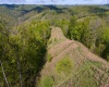 Lot 1 Manion Road, Folsom, West Virginia 26348, ,Lots/land,For Sale,Manion,10164721