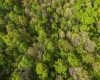 Lot 1 Manion Road, Folsom, West Virginia 26348, ,Lots/land,For Sale,Manion,10164721
