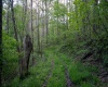 Lot 1 Manion Road, Folsom, West Virginia 26348, ,Lots/land,For Sale,Manion,10164721