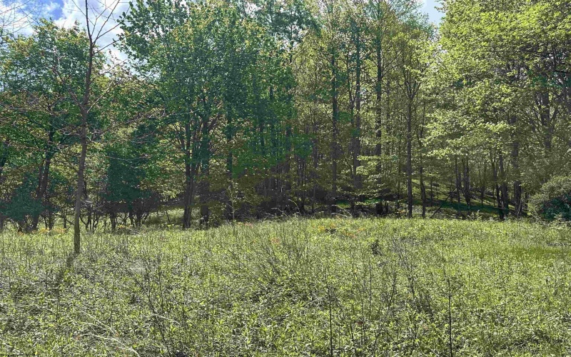 Lot 2 Flat Rock Run, Dryfork, West Virginia 26263, ,Lots/land,For Sale,Flat Rock,10164726