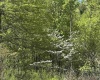 Lot 2 Flat Rock Run, Dryfork, West Virginia 26263, ,Lots/land,For Sale,Flat Rock,10164726