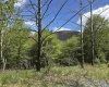 Lot 2 Flat Rock Run, Dryfork, West Virginia 26263, ,Lots/land,For Sale,Flat Rock,10164726