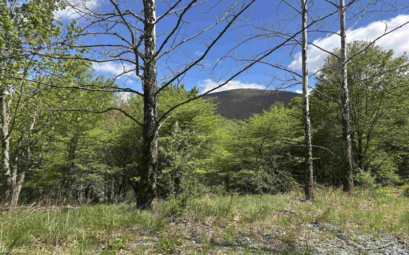 Lot 2 Flat Rock Run, Dryfork, West Virginia 26263, ,Lots/land,For Sale,Flat Rock,10164726