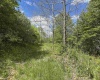 Lot 2 Flat Rock Run, Dryfork, West Virginia 26263, ,Lots/land,For Sale,Flat Rock,10164726