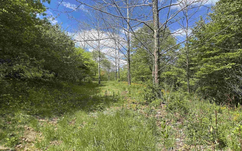 Lot 2 Flat Rock Run, Dryfork, West Virginia 26263, ,Lots/land,For Sale,Flat Rock,10164726