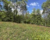 Lot 2 Flat Rock Run, Dryfork, West Virginia 26263, ,Lots/land,For Sale,Flat Rock,10164726