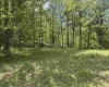 Lot 2 Flat Rock Run, Dryfork, West Virginia 26263, ,Lots/land,For Sale,Flat Rock,10164726