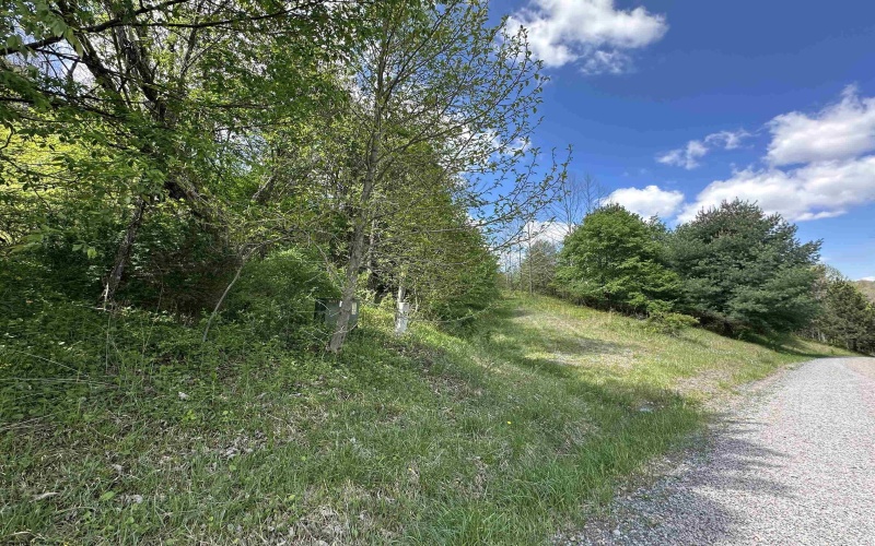 Lot 2 Flat Rock Run, Dryfork, West Virginia 26263, ,Lots/land,For Sale,Flat Rock,10164726