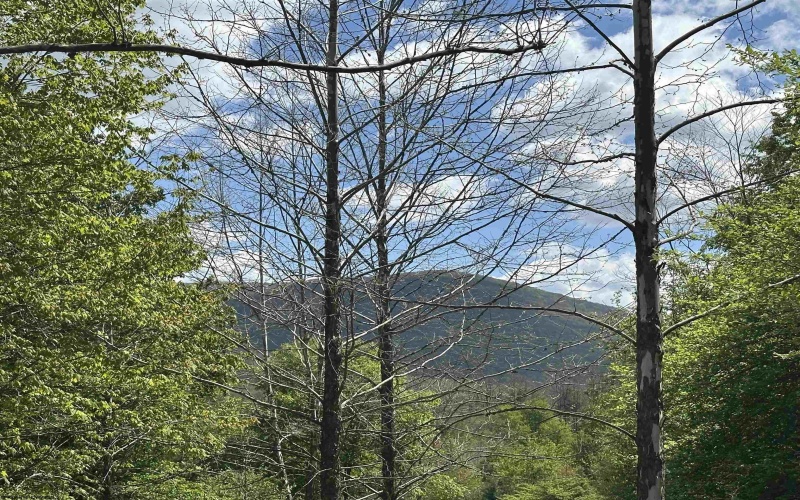 Lot 2 Flat Rock Run, Dryfork, West Virginia 26263, ,Lots/land,For Sale,Flat Rock,10164726