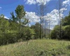 Lot 2 Flat Rock Run, Dryfork, West Virginia 26263, ,Lots/land,For Sale,Flat Rock,10164726
