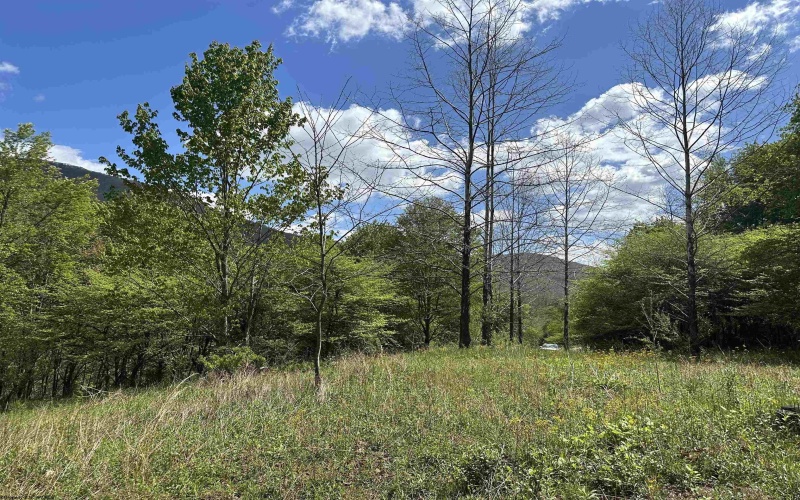 Lot 2 Flat Rock Run, Dryfork, West Virginia 26263, ,Lots/land,For Sale,Flat Rock,10164726