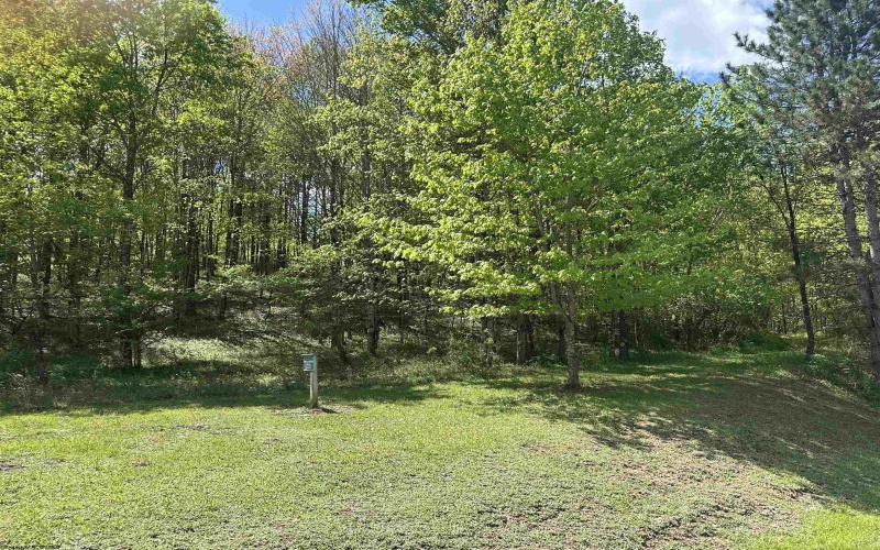 Lot 2 Flat Rock Run, Dryfork, West Virginia 26263, ,Lots/land,For Sale,Flat Rock,10164726