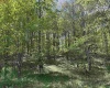 Lot 2 Flat Rock Run, Dryfork, West Virginia 26263, ,Lots/land,For Sale,Flat Rock,10164726