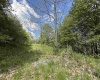 Lot 2 Flat Rock Run, Dryfork, West Virginia 26263, ,Lots/land,For Sale,Flat Rock,10164726