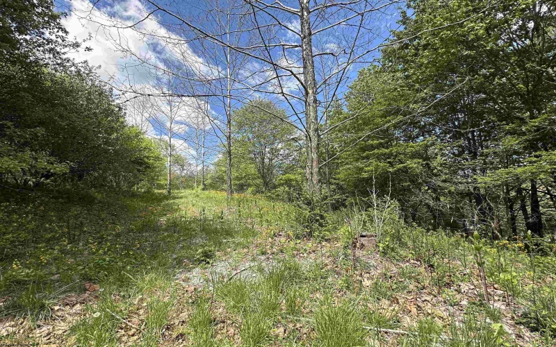 Lot 2 Flat Rock Run, Dryfork, West Virginia 26263, ,Lots/land,For Sale,Flat Rock,10164726