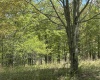 Lot 2 Flat Rock Run, Dryfork, West Virginia 26263, ,Lots/land,For Sale,Flat Rock,10164726
